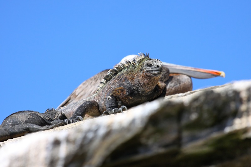 Photographer:Juergen Stamms