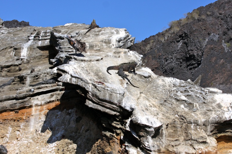 Photographer:Juergen Stamms