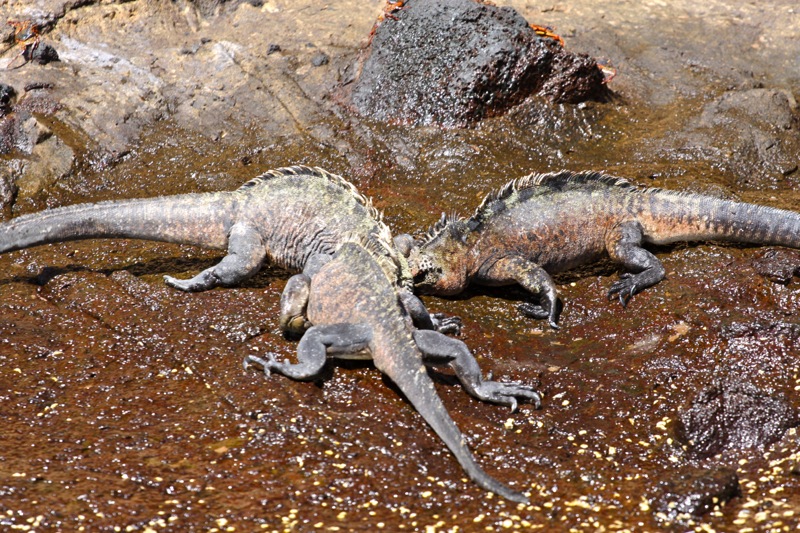 Photographer:Juergen Stamms