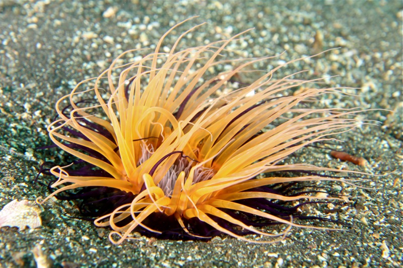 Photographer:Juergen Stamms