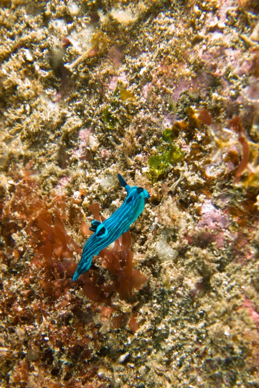 Photographer:Juergen Stamms