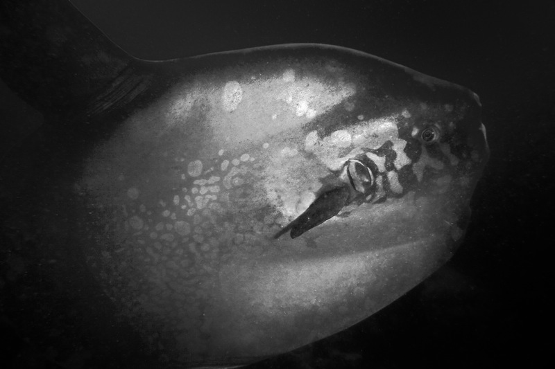 Photographer:Juergen Stamms