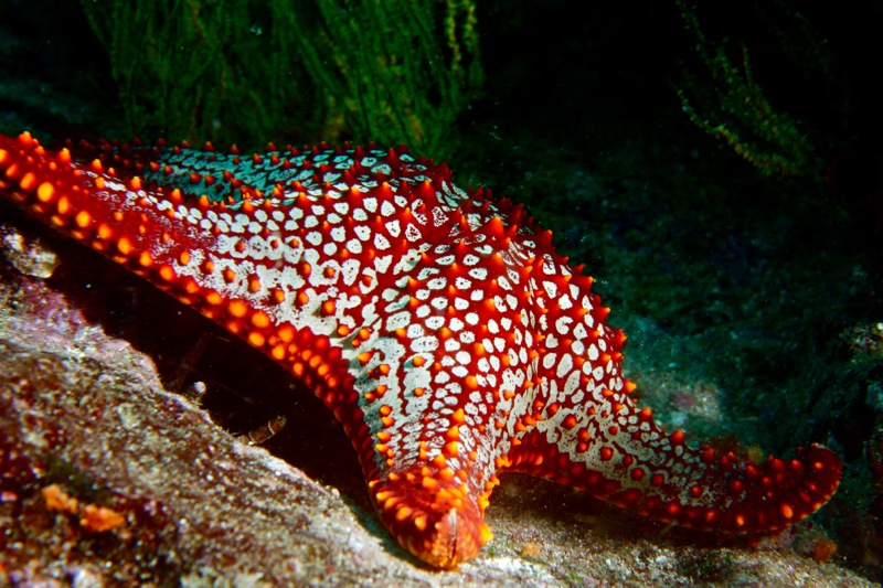 Photographer:Juergen Stamms