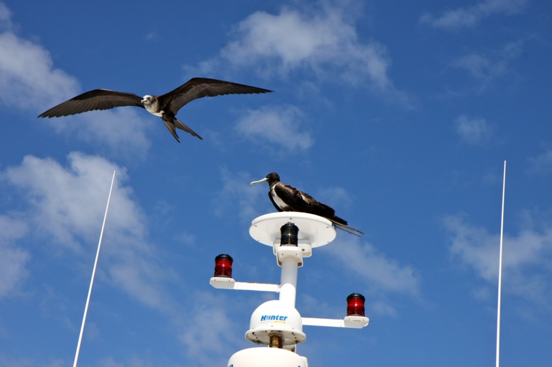 Photographer:Juergen Stamms