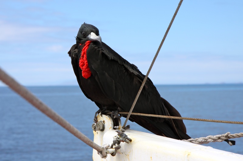 Photographer:Juergen Stamms