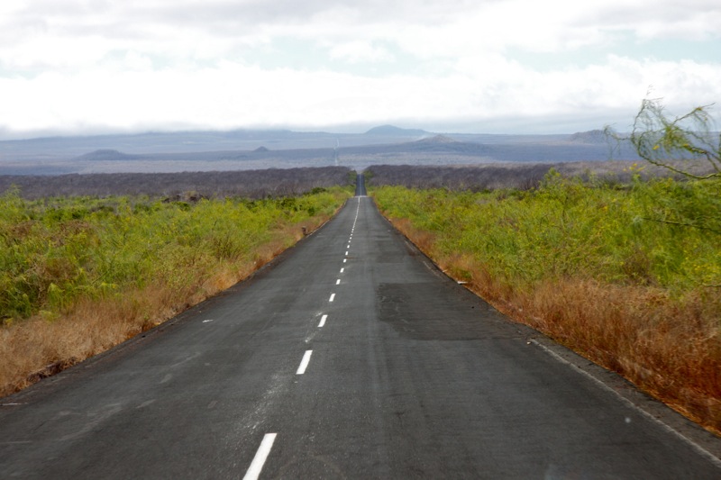 Photographer:Juergen Stamms