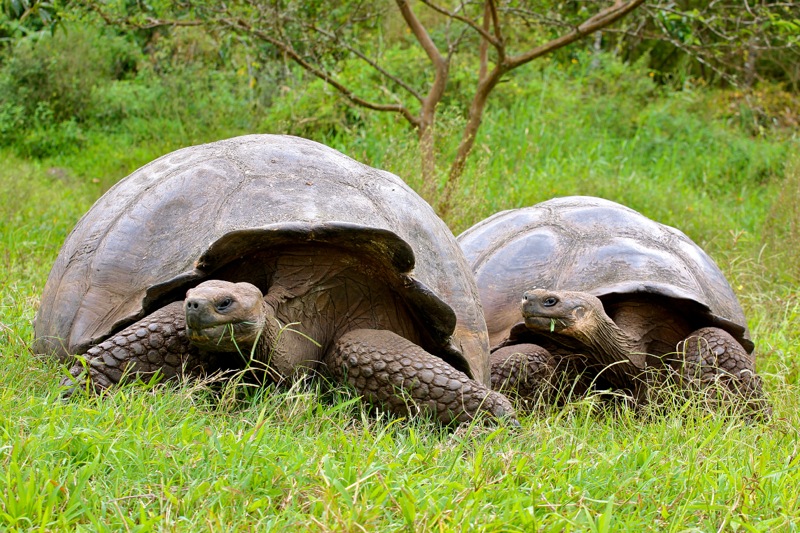 Photographer:Juergen Stamms