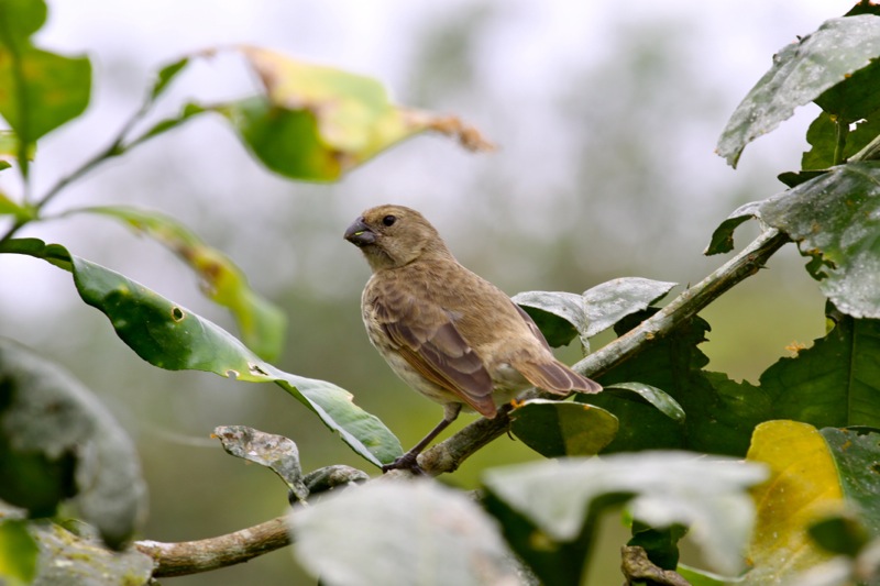 Photographer:Juergen Stamms