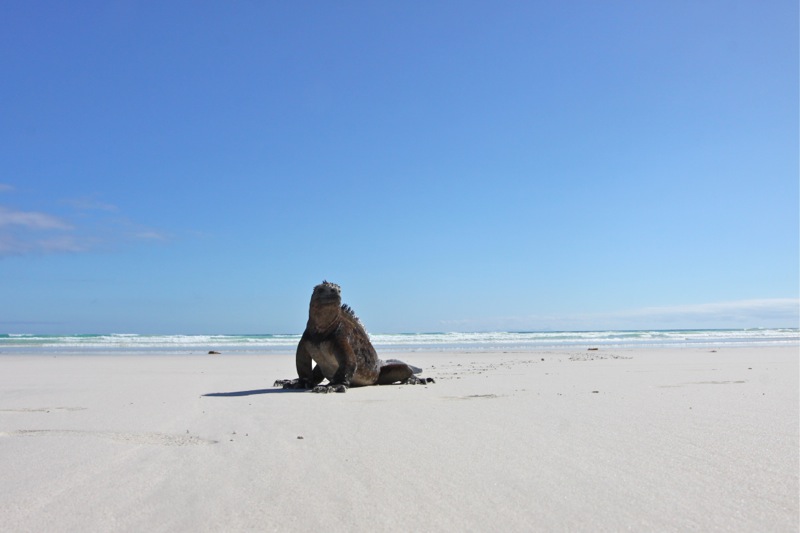 Photographer:Juergen Stamms