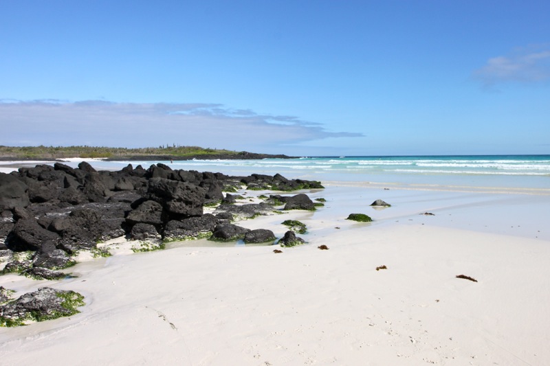 Photographer:Juergen Stamms