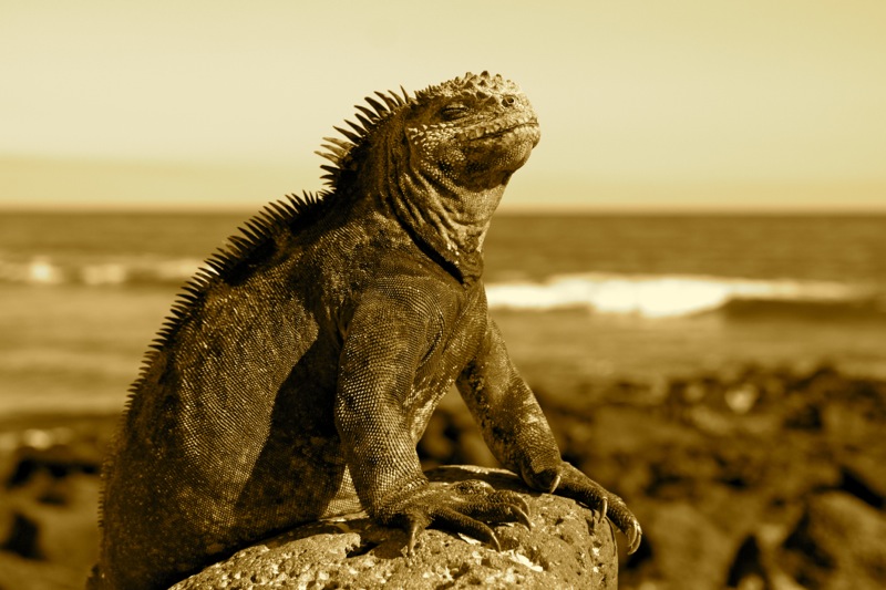 Photographer:Juergen Stamms