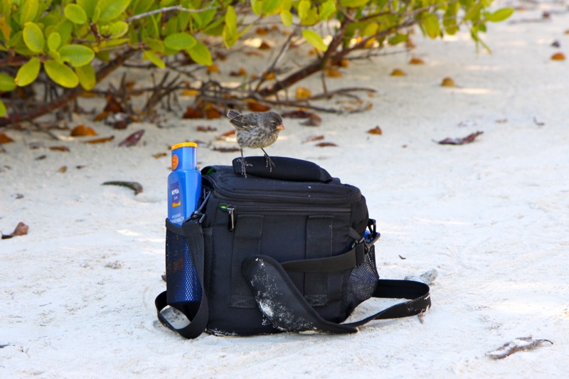 Photographer:Juergen Stamms