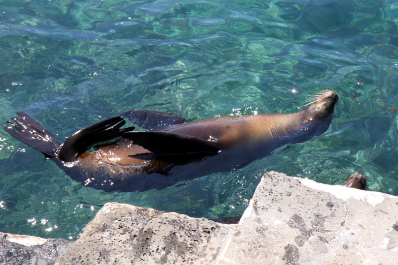 Photographer:Juergen Stamms