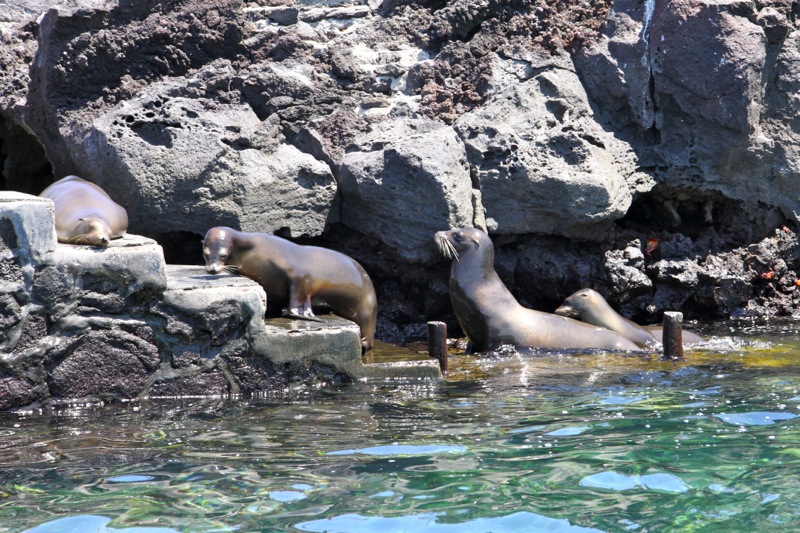 Photographer:Juergen Stamms