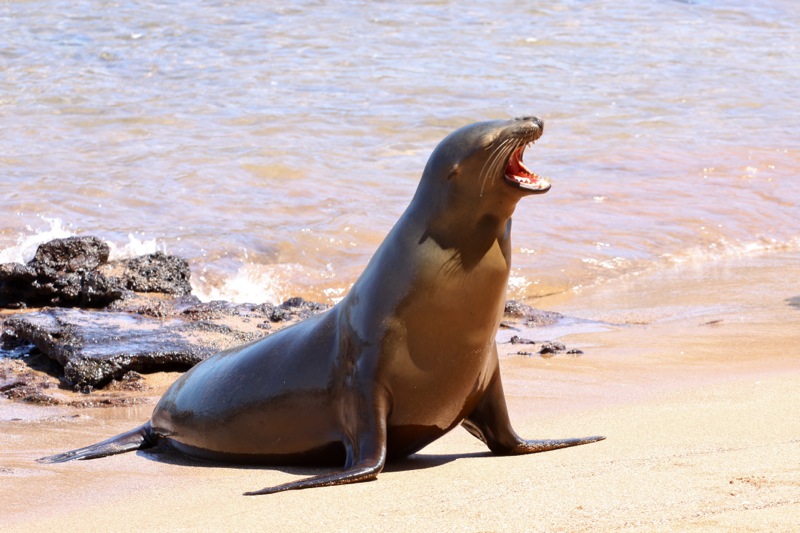 Photographer:Juergen Stamms