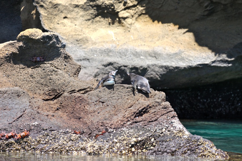 Photographer:Juergen Stamms