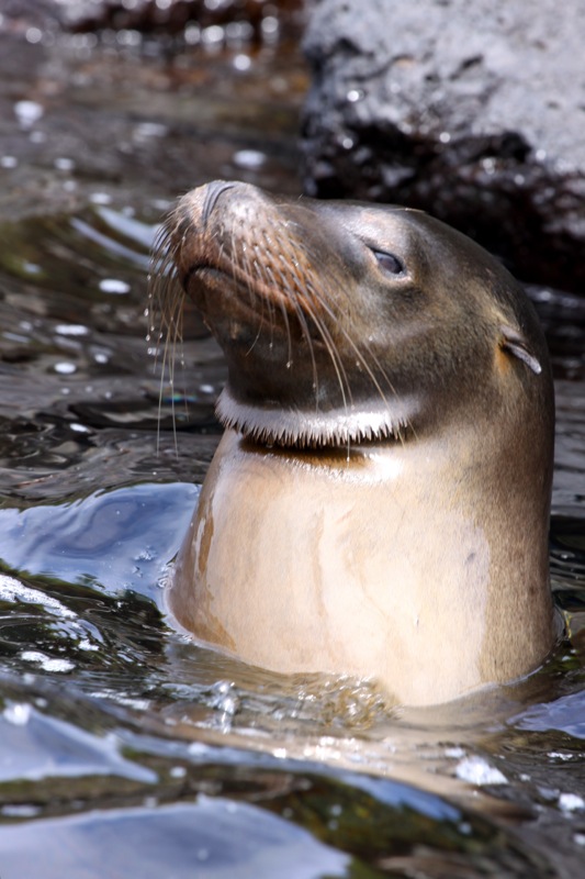 Photographer:Juergen Stamms