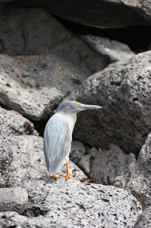 Photographer:Juergen Stamms