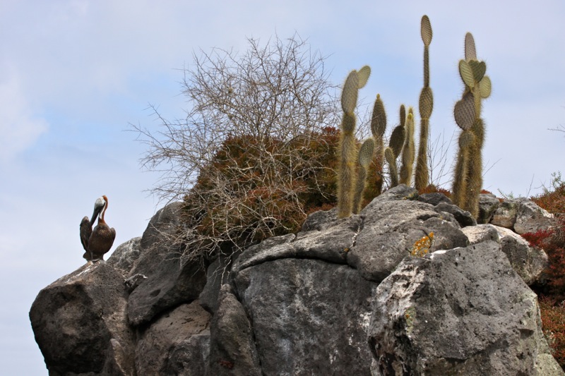 Photographer:Juergen Stamms