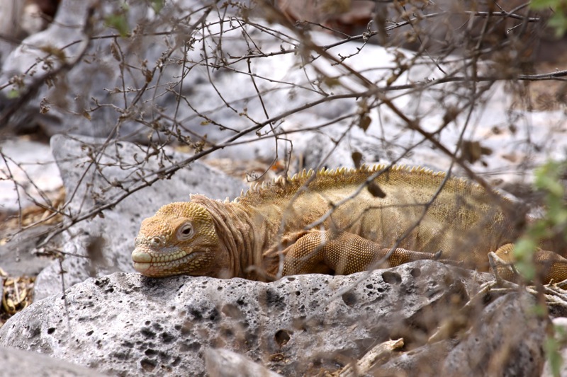 Photographer:Juergen Stamms