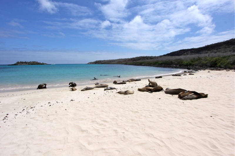 Photographer:Juergen Stamms