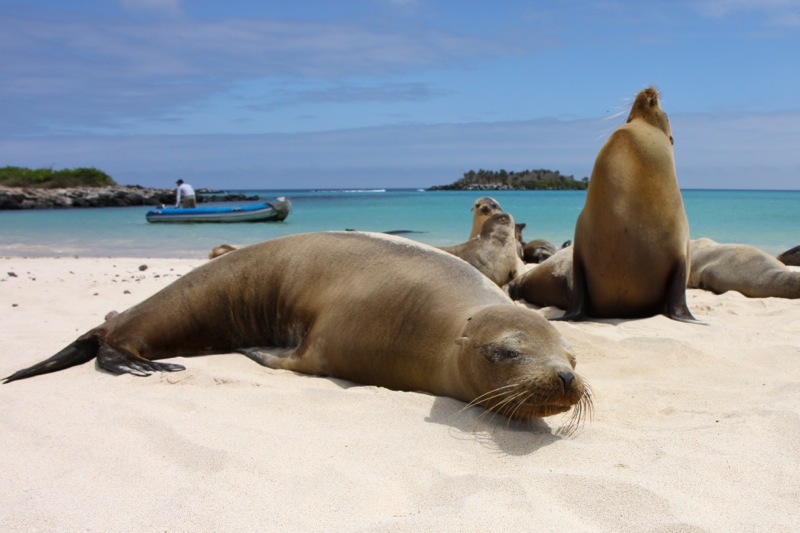 Photographer:Juergen Stamms