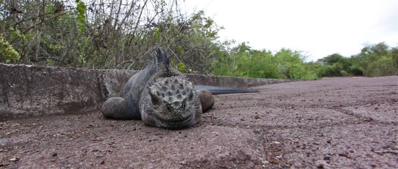 Photographer:Juergen Stamms