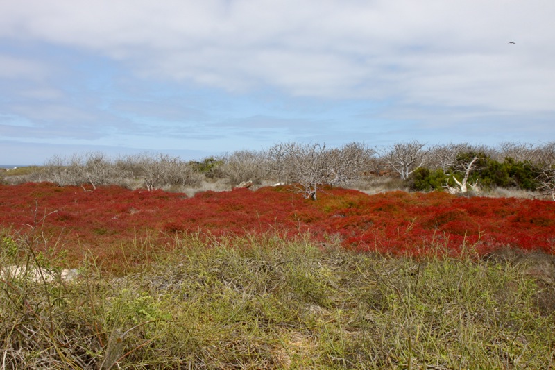 Photographer:Juergen Stamms