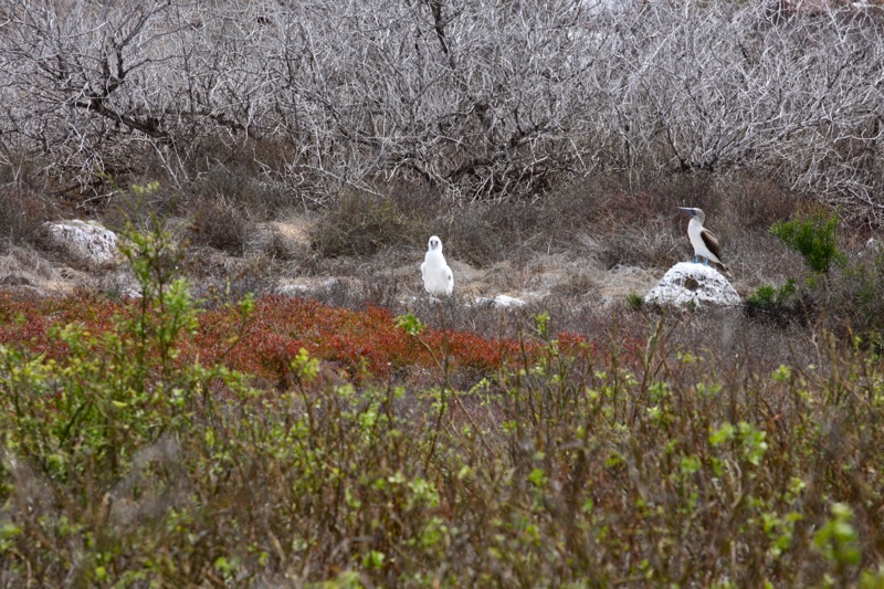 Photographer:Juergen Stamms