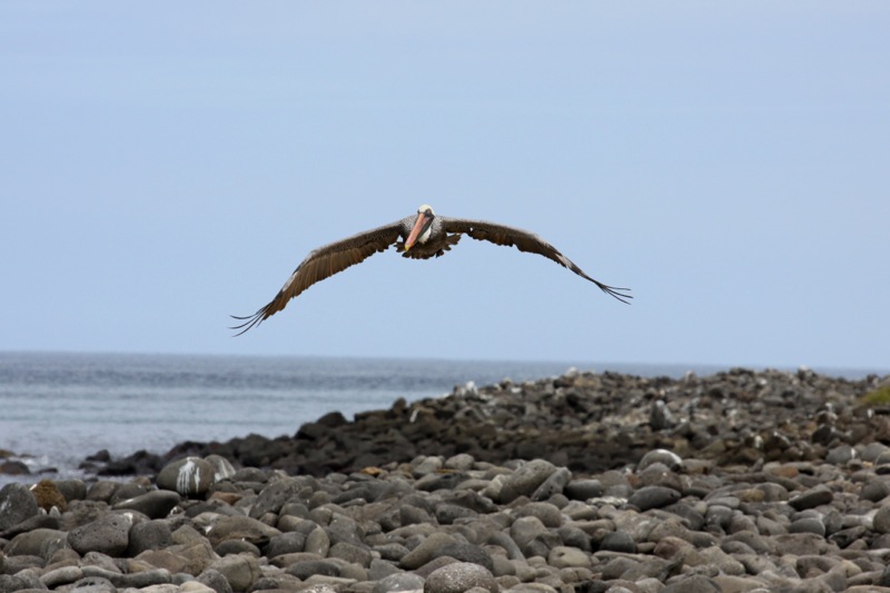 Photographer:Juergen Stamms