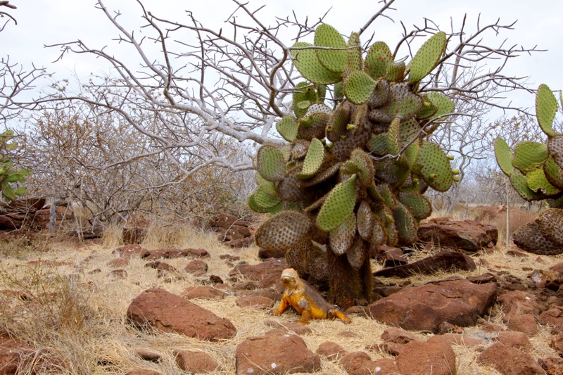 Photographer:Juergen Stamms