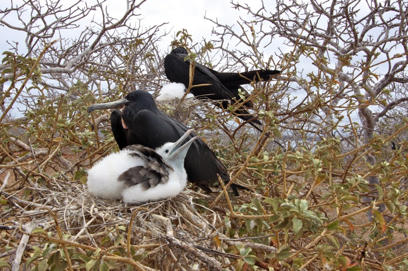 Photographer:Juergen Stamms