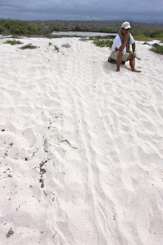 Photographer:Juergen Stamms