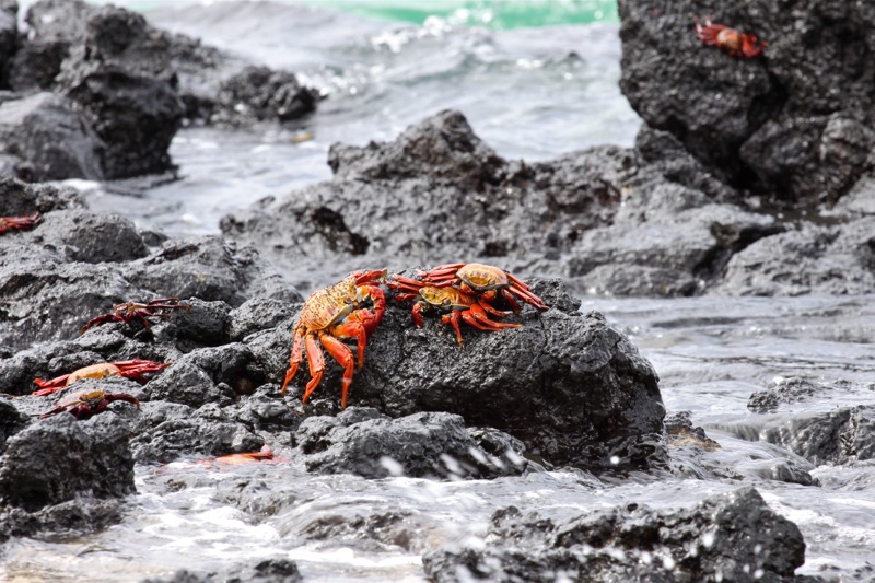 Photographer:Juergen Stamms