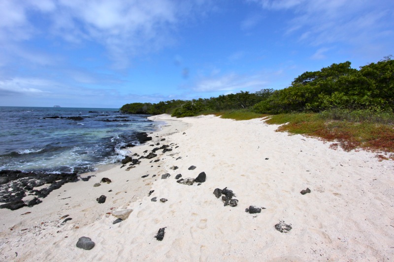 Photographer:Juergen Stamms