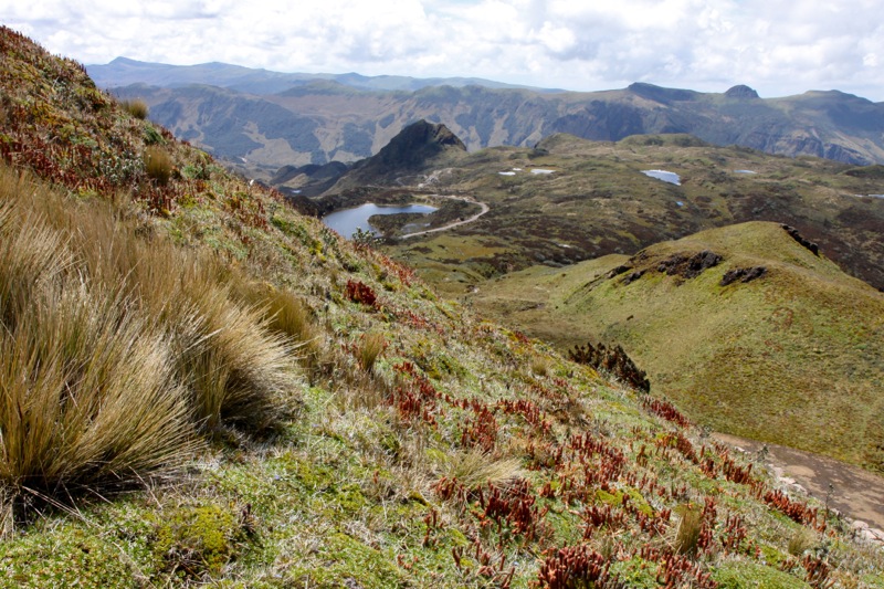 Photographer:Juergen Stamms