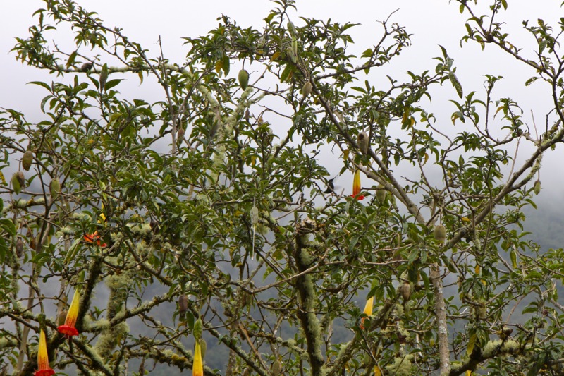 Photographer:Juergen Stamms