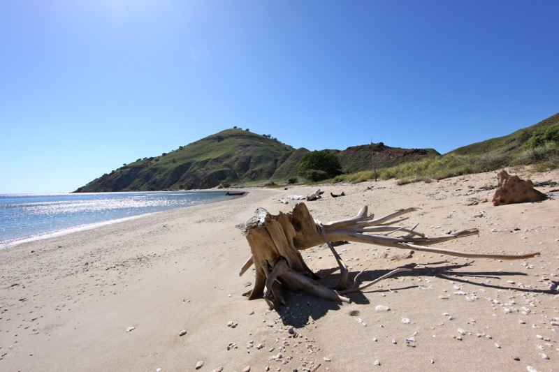 Photographer:Juergen Stamms