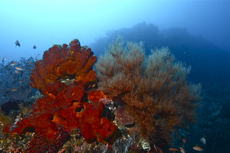 Photographer:
Juergen Stamms