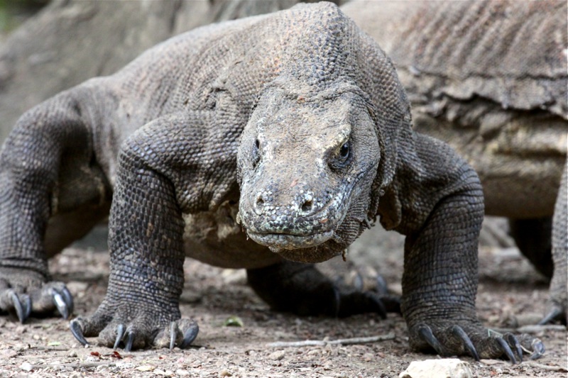 Photographer:Juergen Stamms