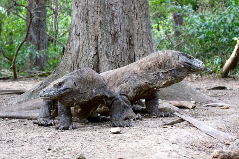 Photographer:Juergen Stamms