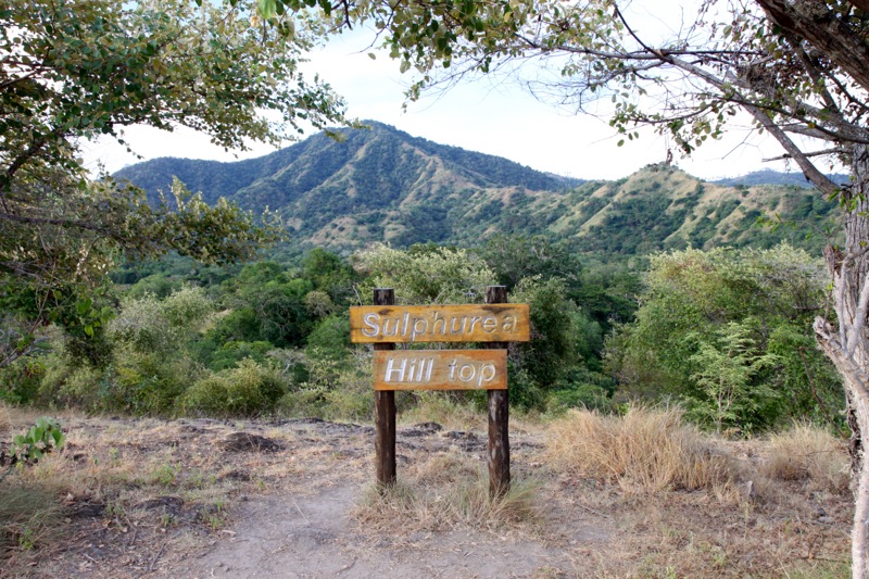 Photographer:Juergen Stamms