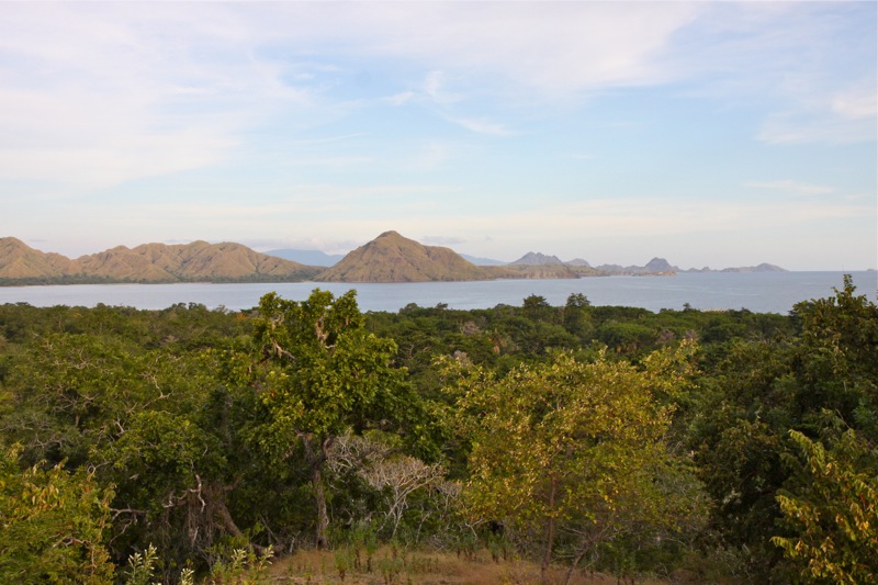 Photographer:Juergen Stamms