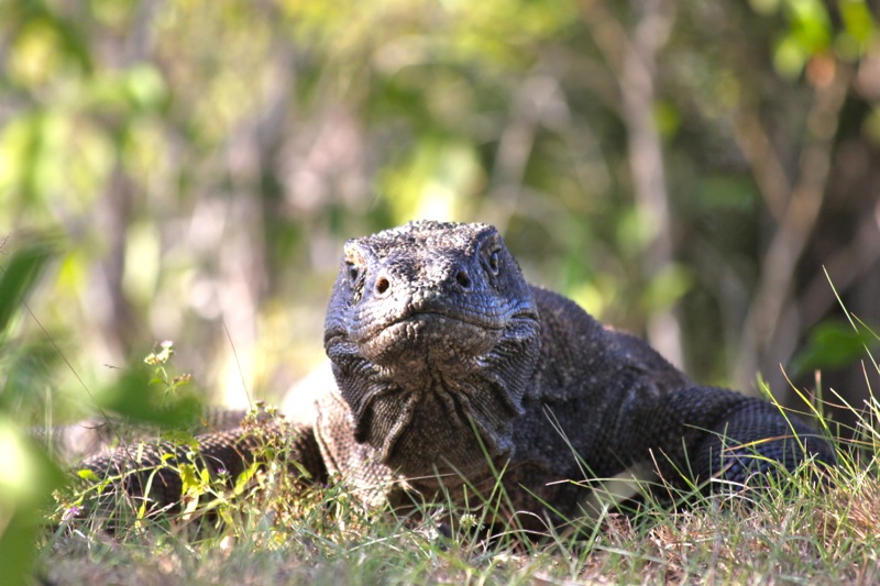 Photographer:Juergen Stamms