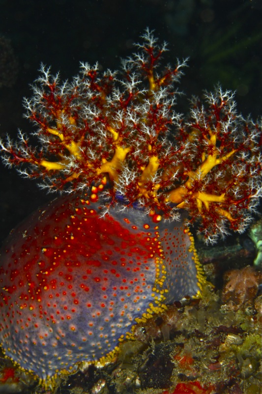 Photographer:
Juergen Stamms