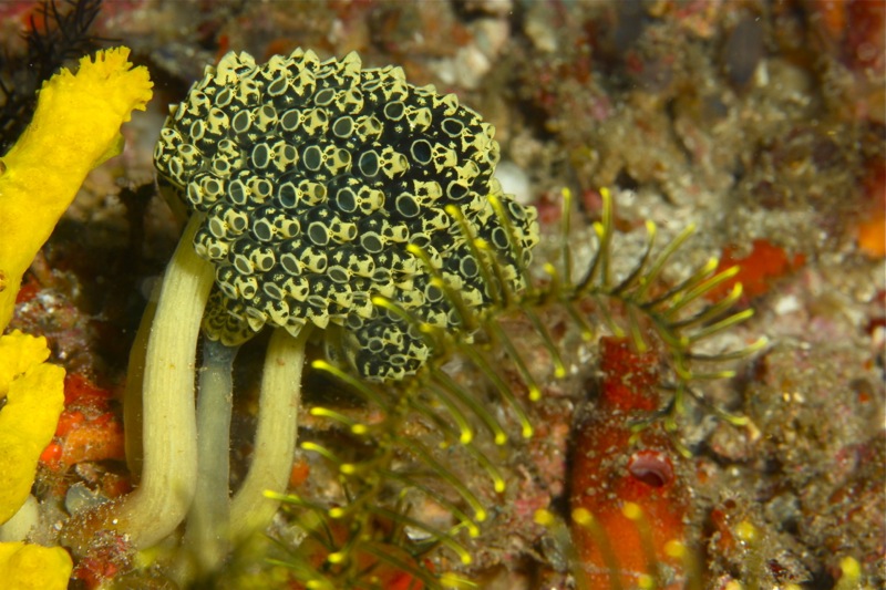 Photographer:Juergen Stamms