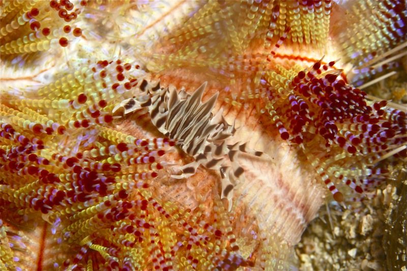 Photographer:
Juergen Stamms