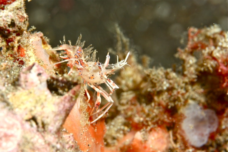 Photographer:Juergen Stamms