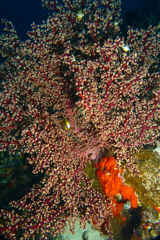 Photographer:Juergen Stamms