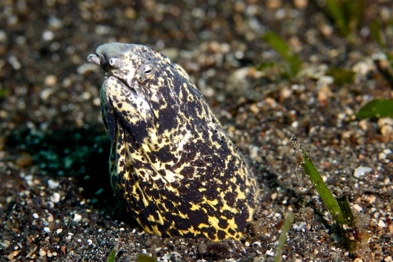 Photographer:Juergen Stamms